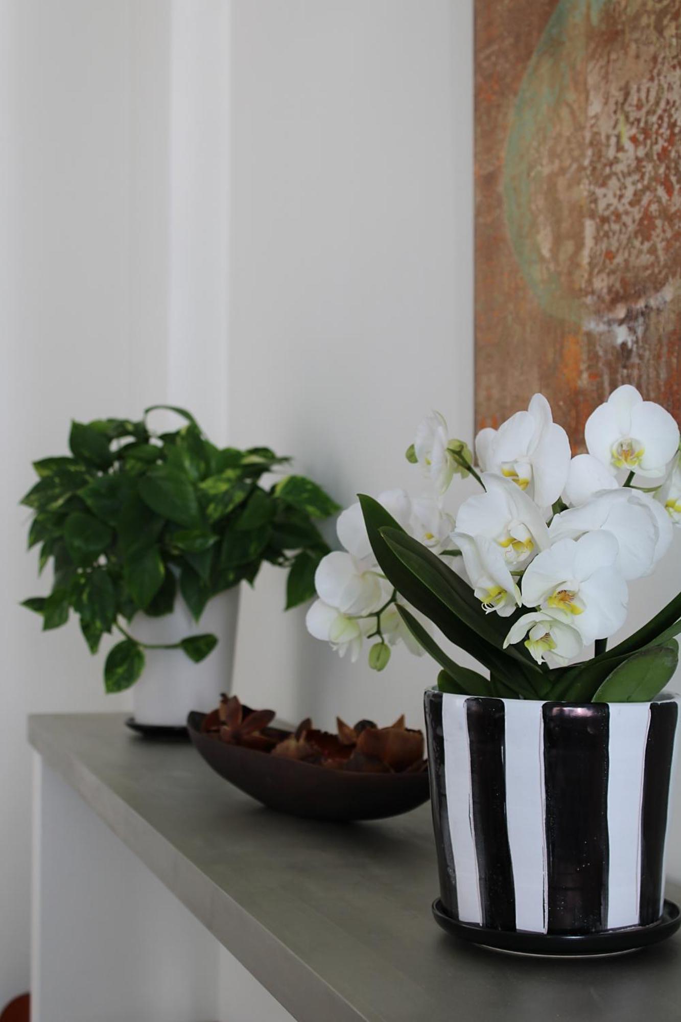 Unico Loft Daire Rimini Dış mekan fotoğraf